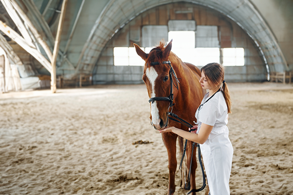 medical team with a horse